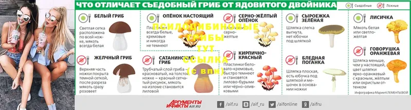 Галлюциногенные грибы MAGIC MUSHROOMS  как найти закладки  Алапаевск 